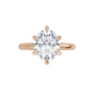 Sophie Lab Diamond Ring