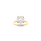 Rachel Solitaire - 8.5mm Round H&A TTG Moissanite