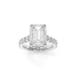 Sloan Ring - 11x8mm Emerald TTG Moissanite