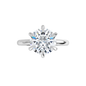 Sophie Lab Diamond Ring