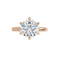Sophie Lab Diamond Ring