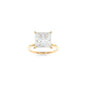 Tara Solitaire - 8mm Princess TTG Moissanite